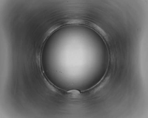 X0000112391041200908201538