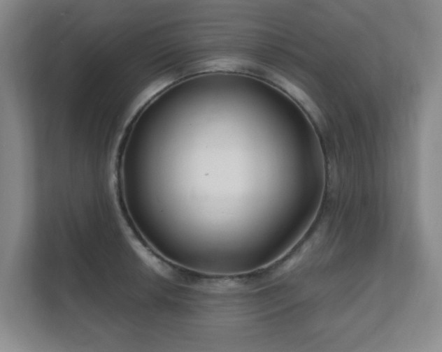 X0000112391042200908201538