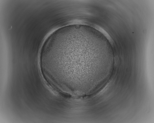 X0000112391043200908201538