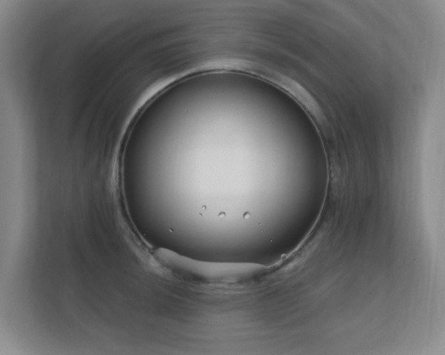 X0000112391044200908201538