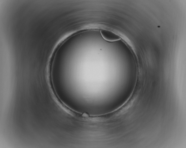 X0000112391045200908201538