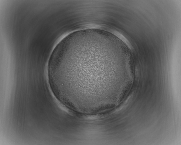 X0000112391047200908201538