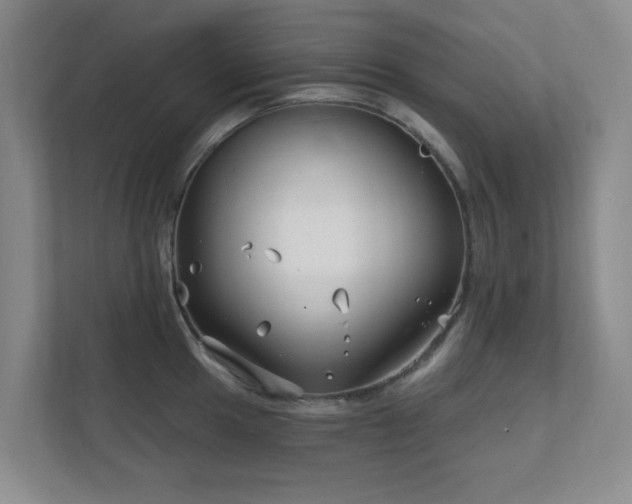 X0000112391049200908201538