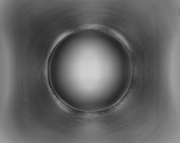 X0000112391050200908201538