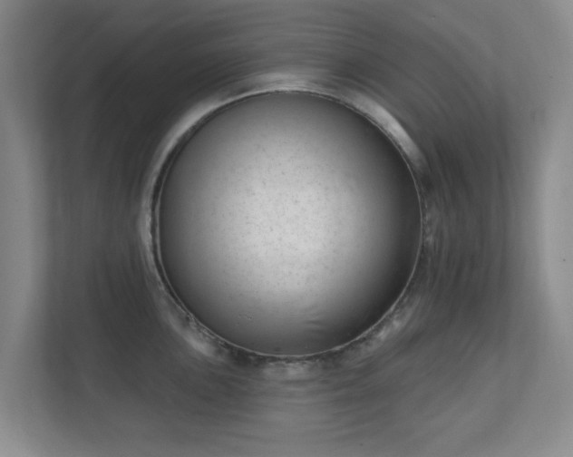 X0000112391051200908201538