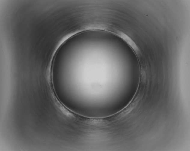 X0000112391052200908201538