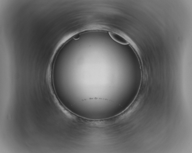 X0000112391053200908201538