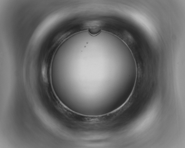 X0000112391054200908201538