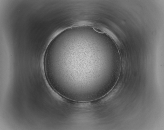 X0000112391055200908201538