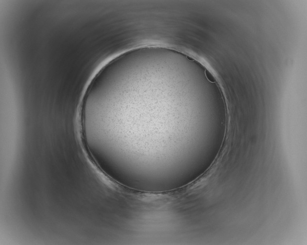 X0000112391056200908201538