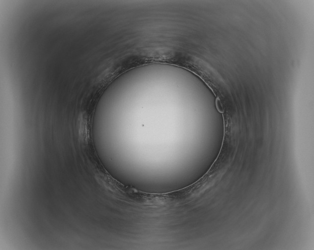 X0000112391058200908201538