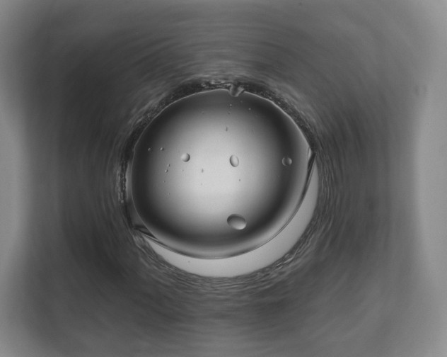 X0000112391060200908201538