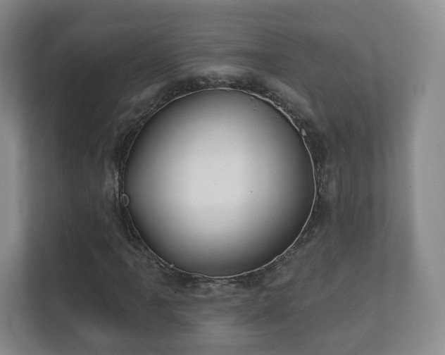 X0000112391061200908201538