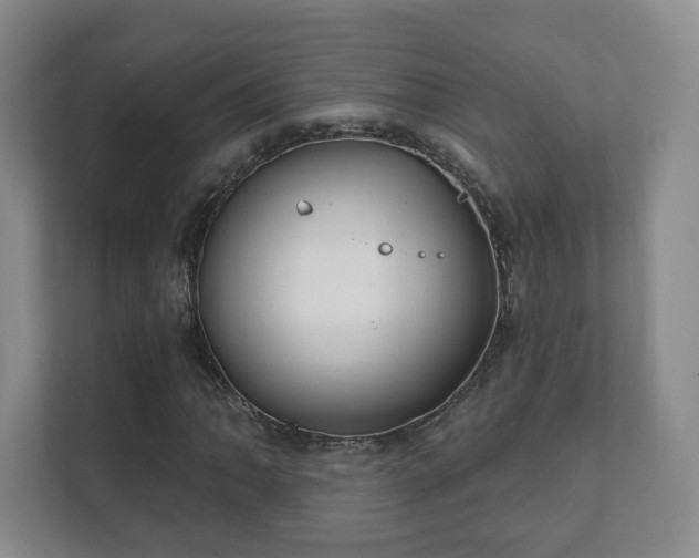 X0000112391062200908201538