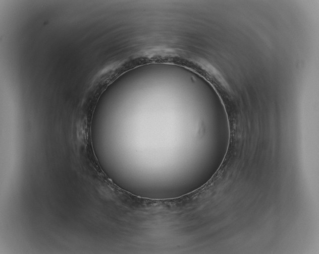 X0000112391063200908201538