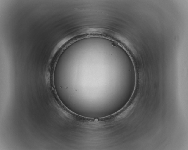 X0000112391066200908201538