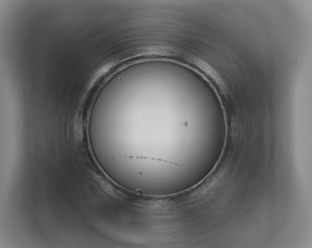 X0000112391067200908201538