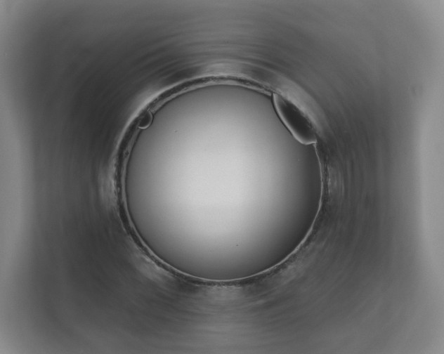 X0000112391068200908201537