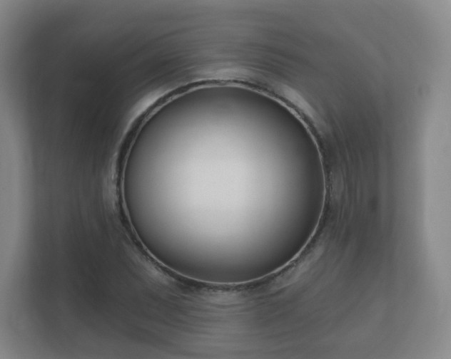 X0000112391071200908201537