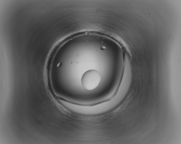 X0000112391072200908201537