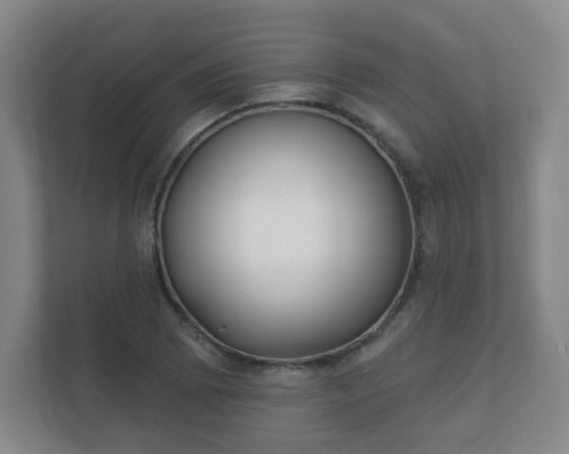 X0000112391073200908201537