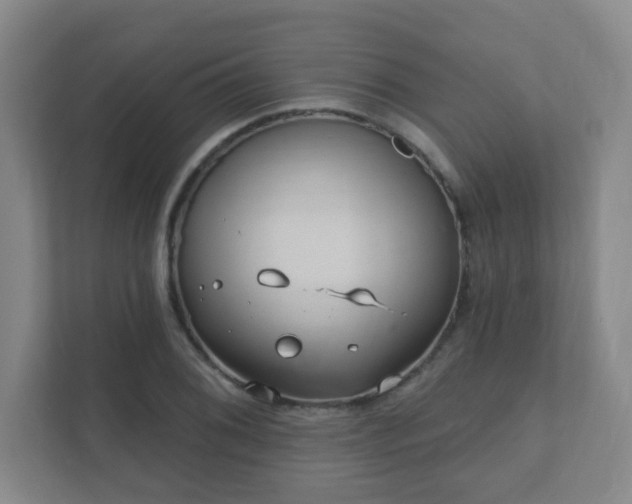 X0000112391076200908201537