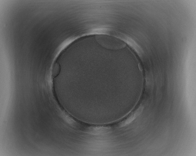 X0000112391077200908201537