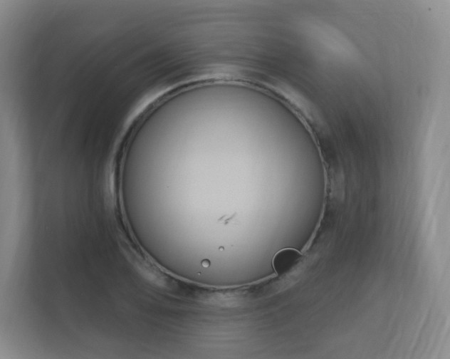 X0000112391078200908201537