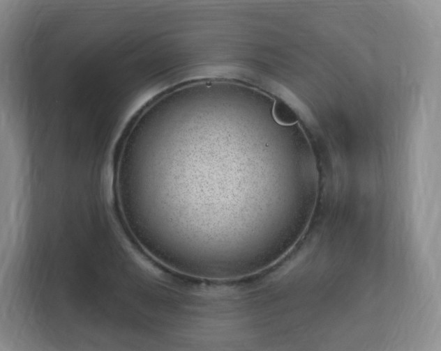 X0000112391079200908201537