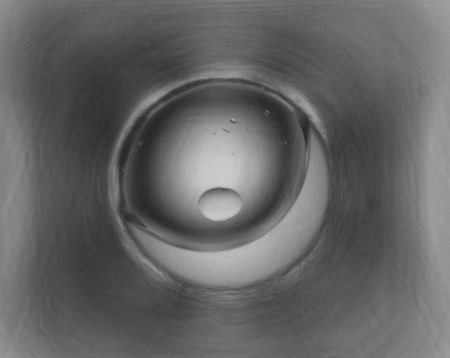 X0000112391080200908201537