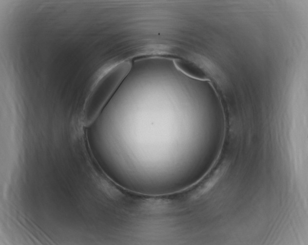 X0000112391081200908201537