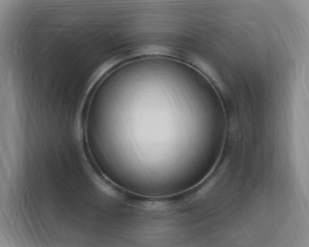 X0000112391082200908201537