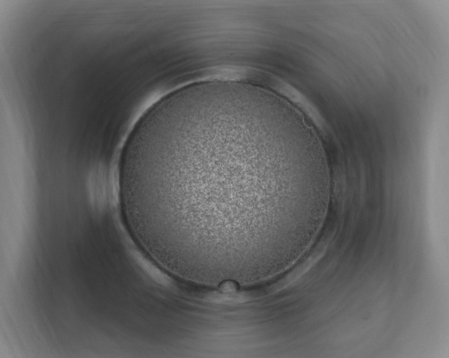 X0000112391083200908201537