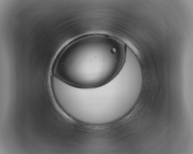 X0000112391084200908201537