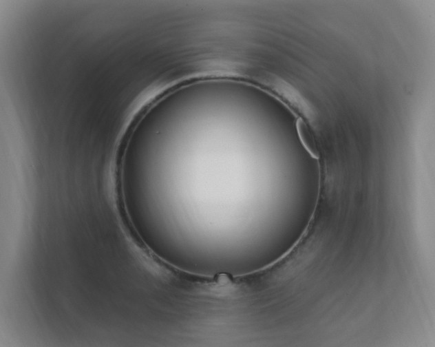 X0000112391085200908201537