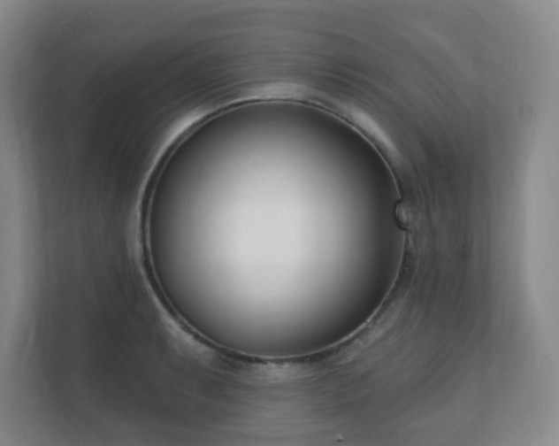 X0000112391087200908201537