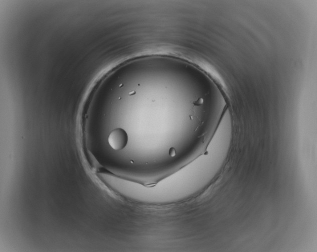 X0000112391088200908201537