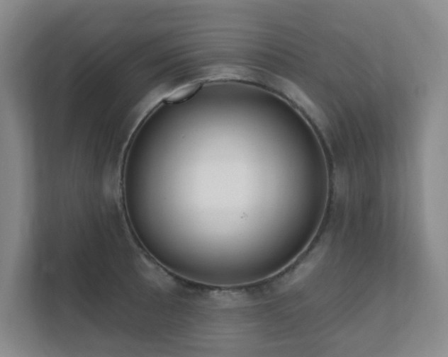 X0000112391089200908201537