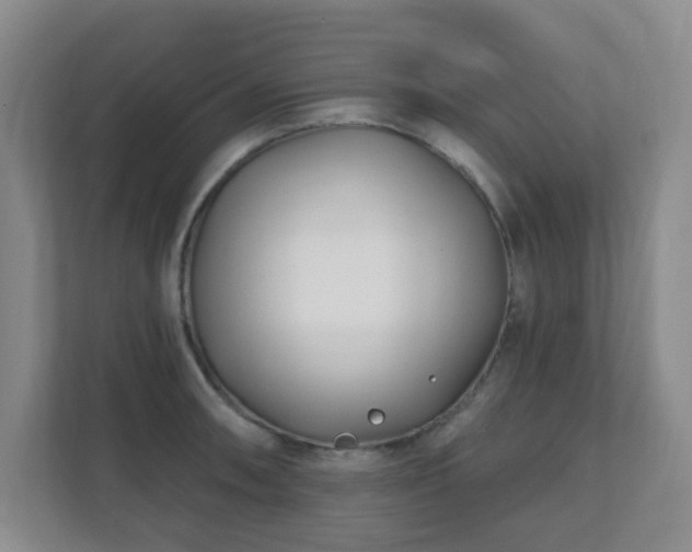 X0000112391090200908201537