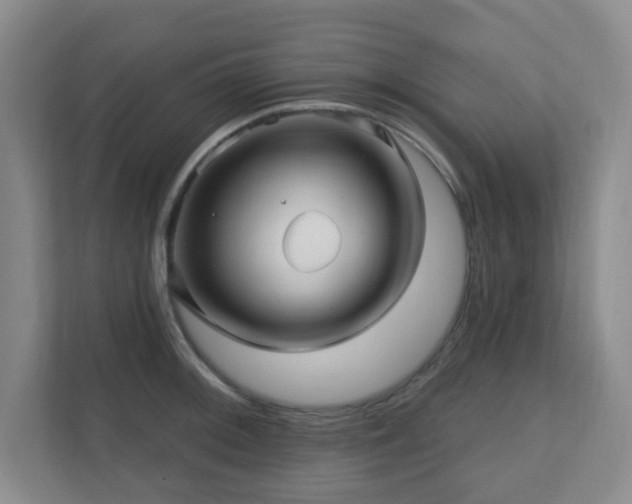 X0000112391092200908201537