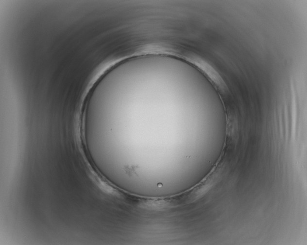 X0000112391094200908201537