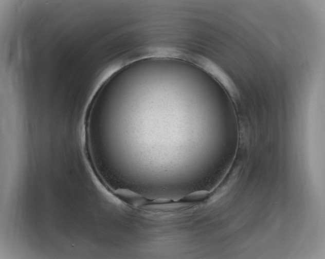 X0000112391095200908201537