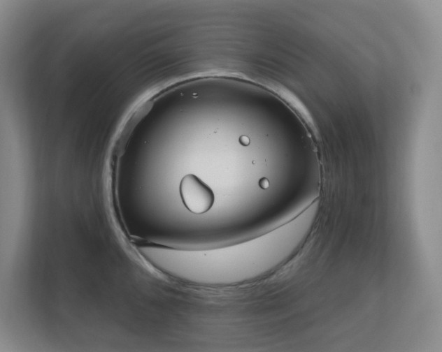 X0000112391096200908201537