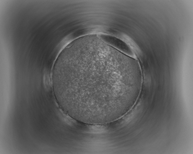 X0000112391097200908201537