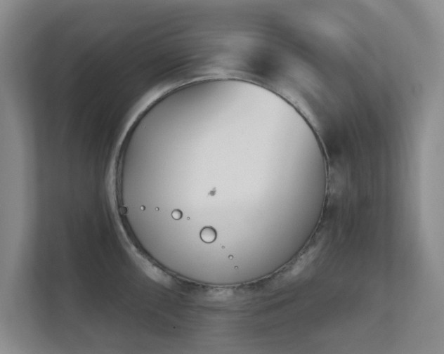 X0000112391098200908201537