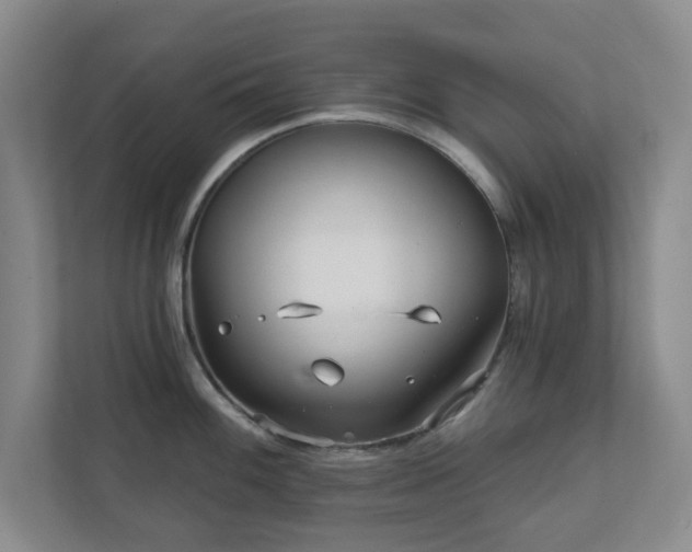 X0000112391100200908201537