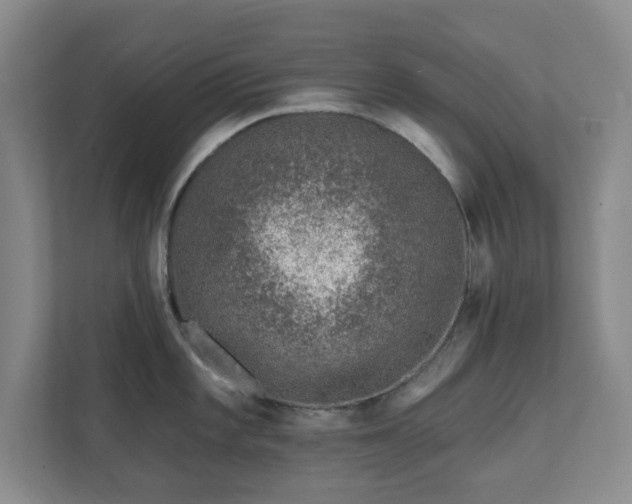 X0000112391101200908201537