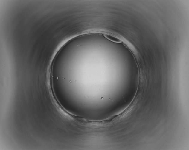 X0000112391102200908201537