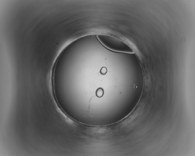 X0000112391103200908201537