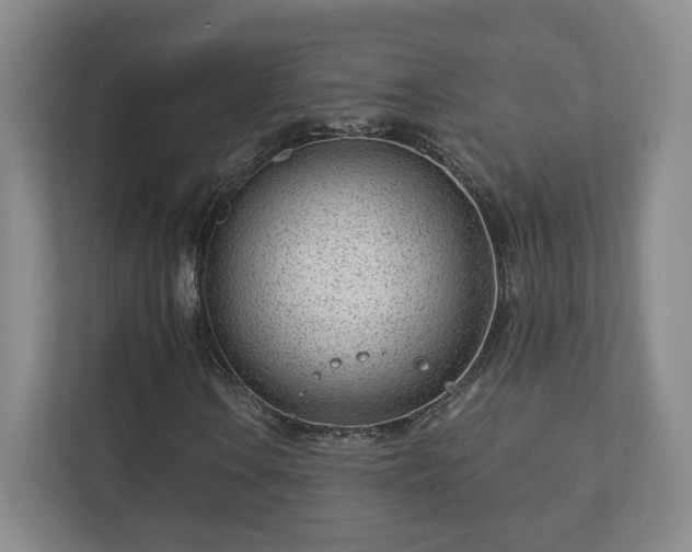 X0000112391106200908201536